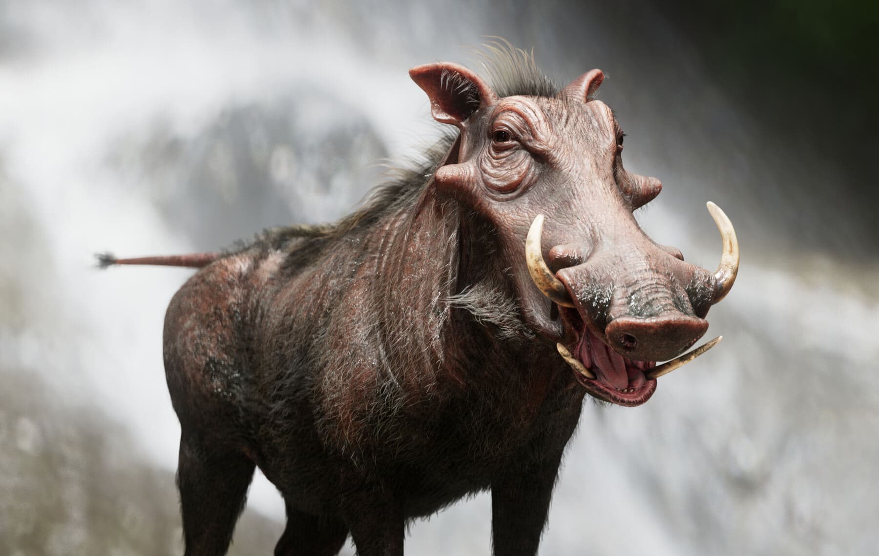 Warthog